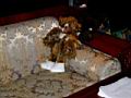 PICT0159.jpg